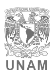 imagotipo de la UNAM